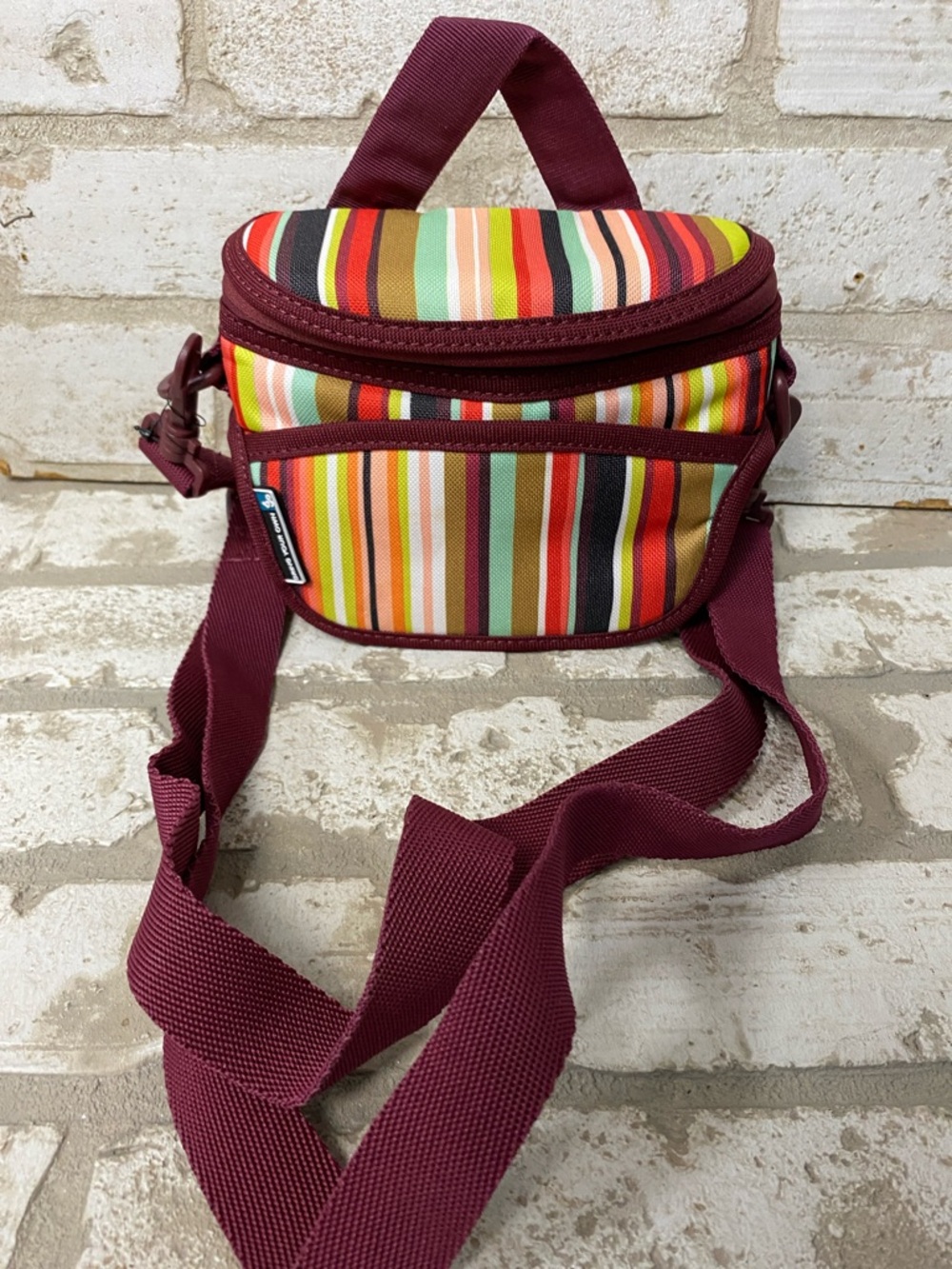 Striped Multicolor Crossbody Bag with Burgundy Trim